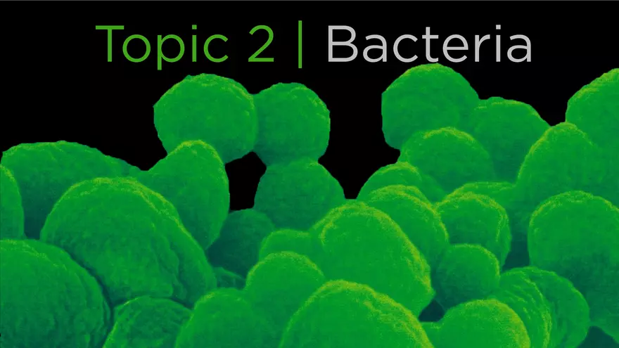 Topic 2 Bacteria - Page 1