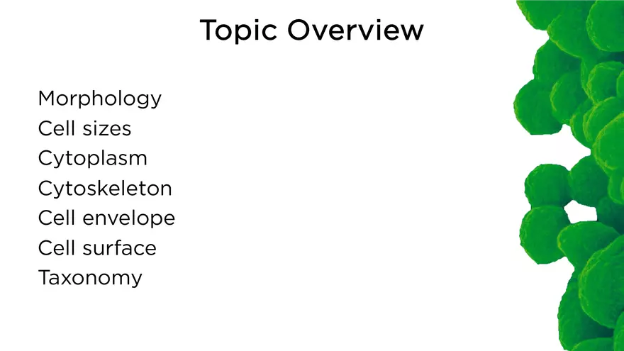 Topic 2 Bacteria - Page 2