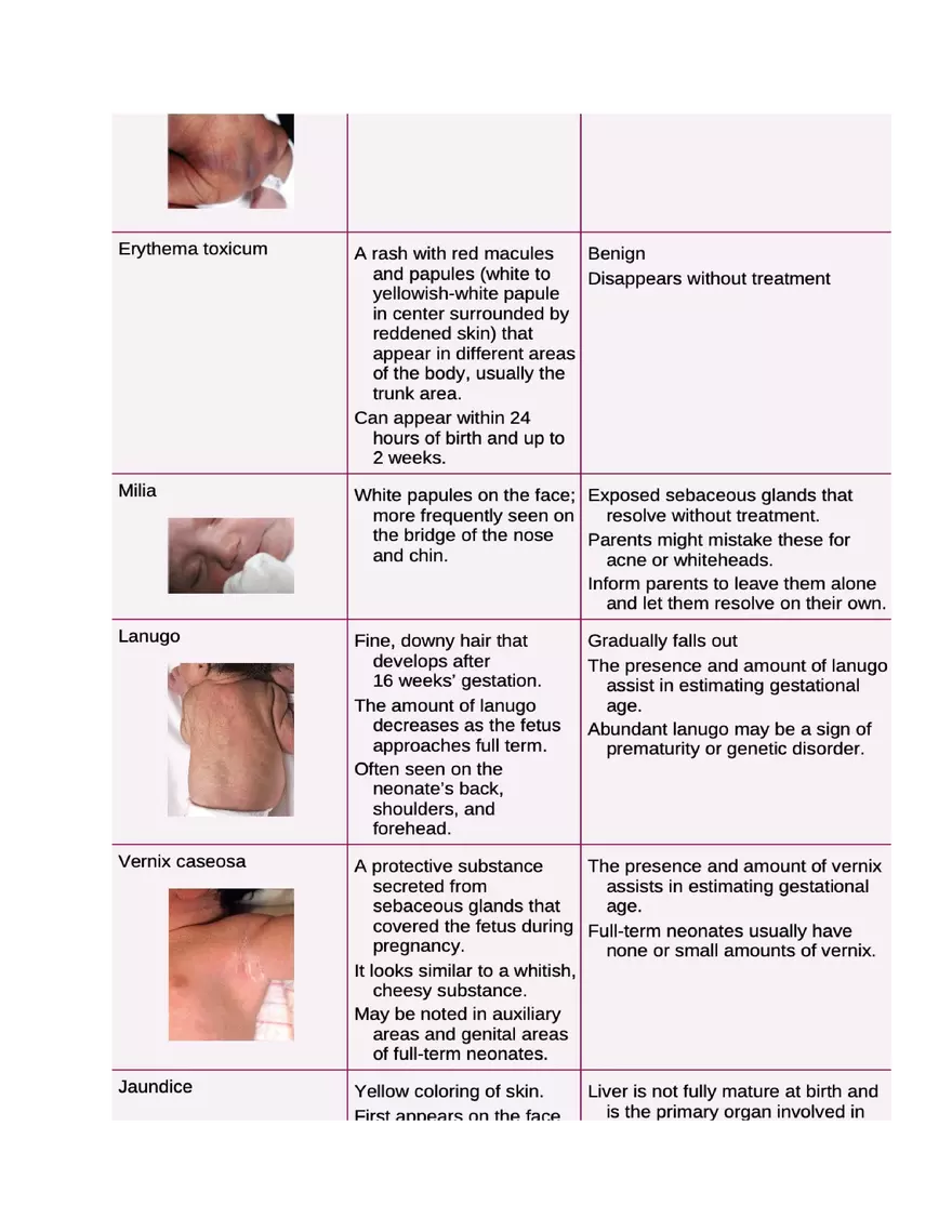 Postpartum Assessment and Immunization Guidelines Part 3 - Page 2