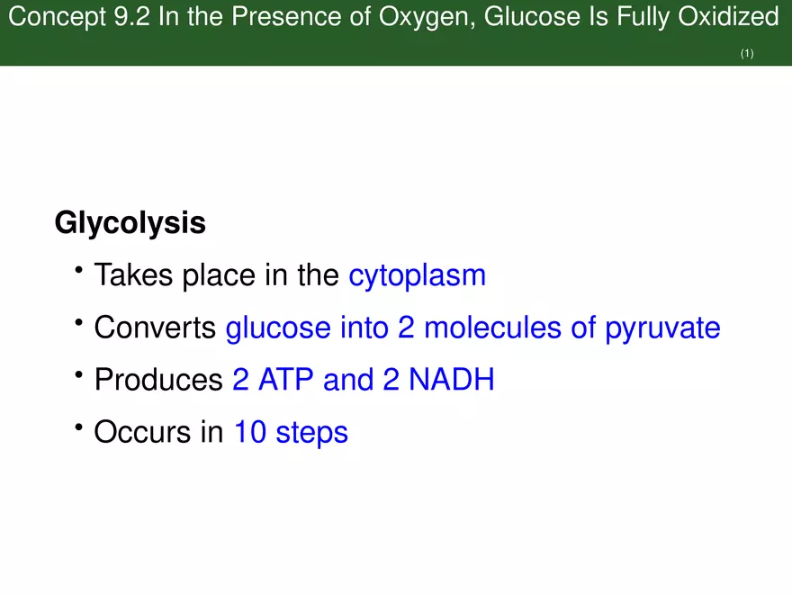Pathways That Harvest Chemical Energy Lecture Part 2 - Page 8