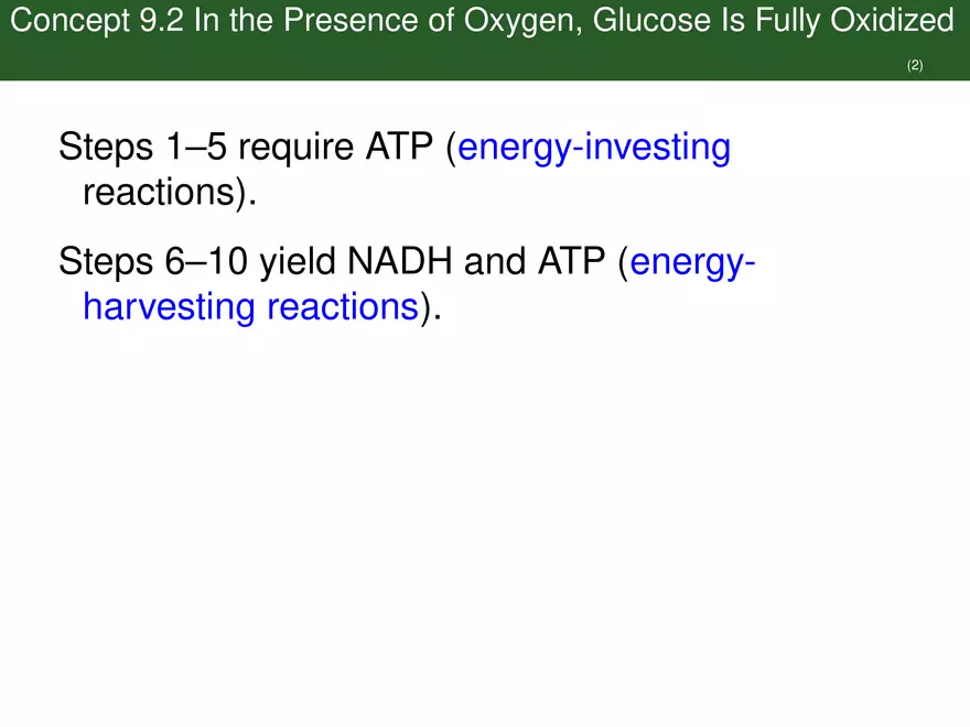 Pathways That Harvest Chemical Energy Lecture Part 2 - Page 9