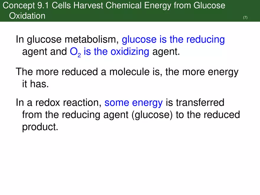Pathways That Harvest Chemical Energy Lecture Part 2 - Page 1