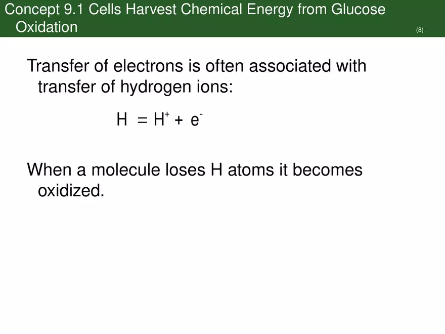 Pathways That Harvest Chemical Energy Lecture Part 2 - Page 3