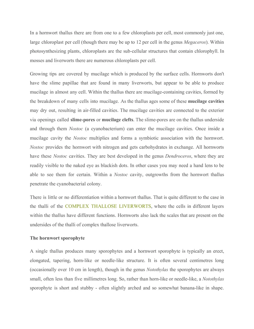 Lecture 4 Hornworts - Page 2