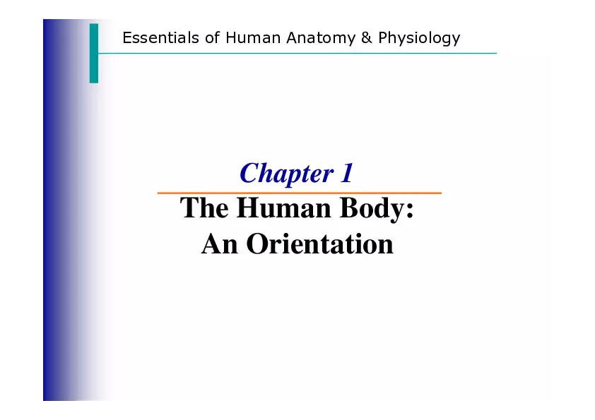 The Human Body - An Orientation - Page 1