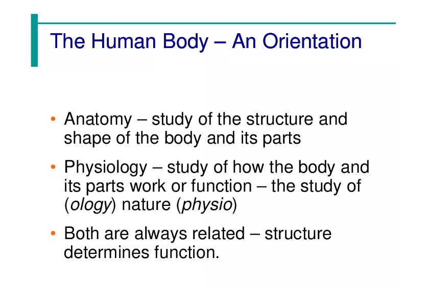 The Human Body - An Orientation - Page 2