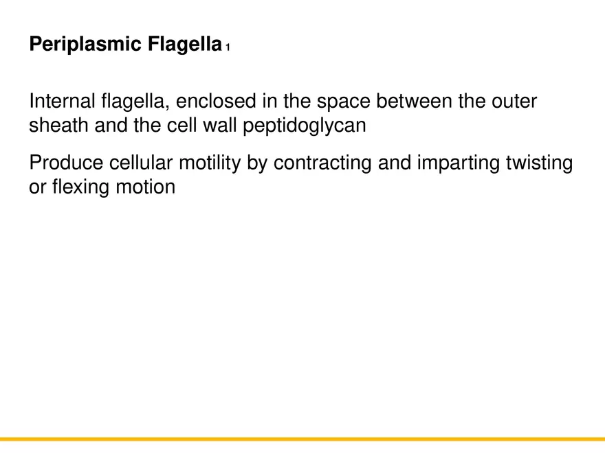 A Survey of Prokaryotic Cells and Microorganisms Lecture 2 - Page 9
