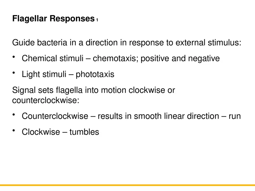 A Survey of Prokaryotic Cells and Microorganisms Lecture 2 - Page 5