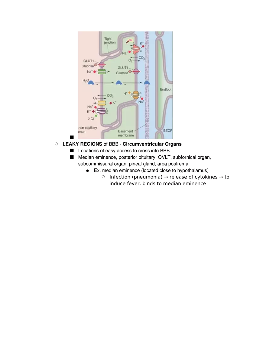 Introduction to Pathophysiology and Cellular Basis of Disease Part 3 - Page 7