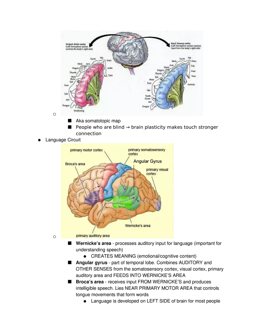 Introduction to Pathophysiology and Cellular Basis of Disease Part 3 - Page 2