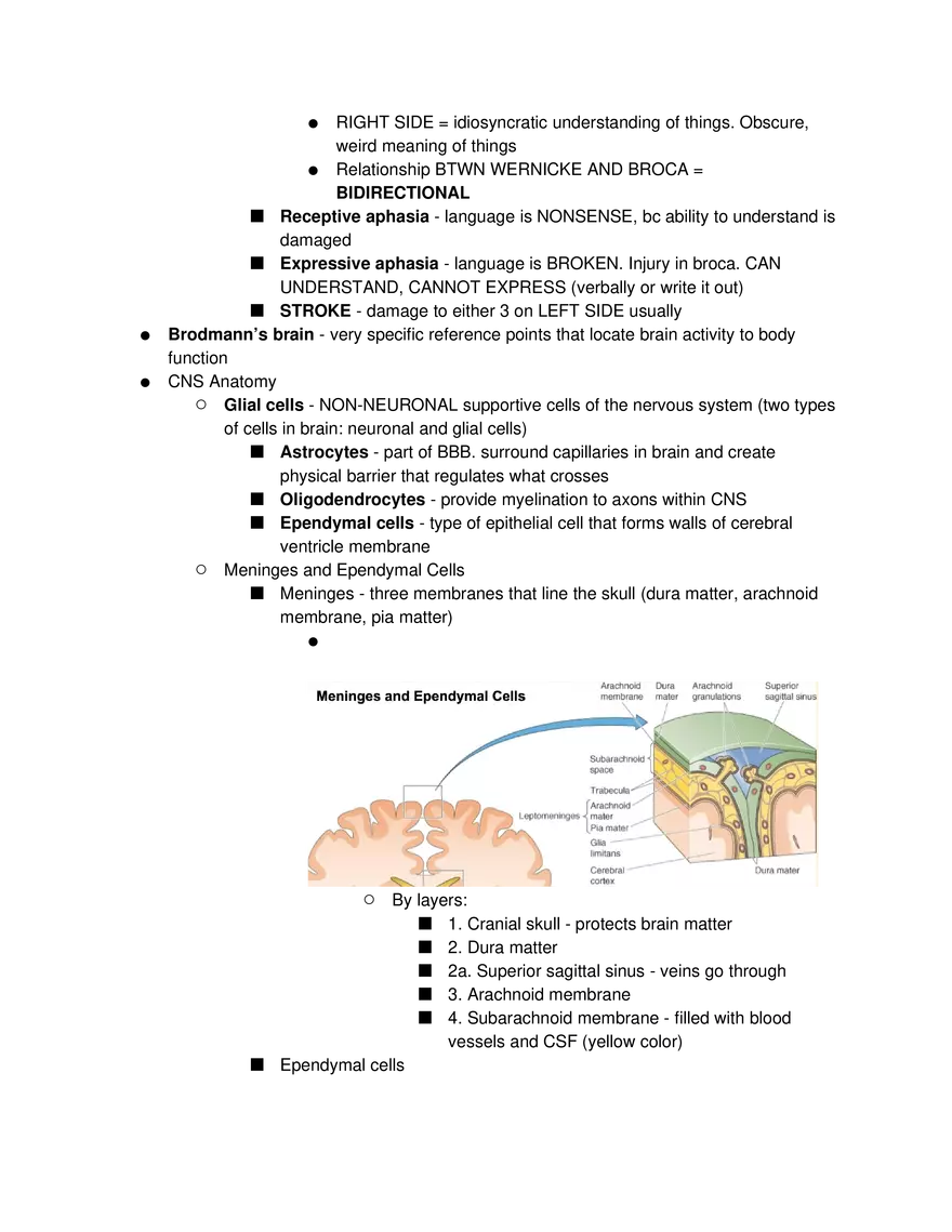 Introduction to Pathophysiology and Cellular Basis of Disease Part 3 - Page 3