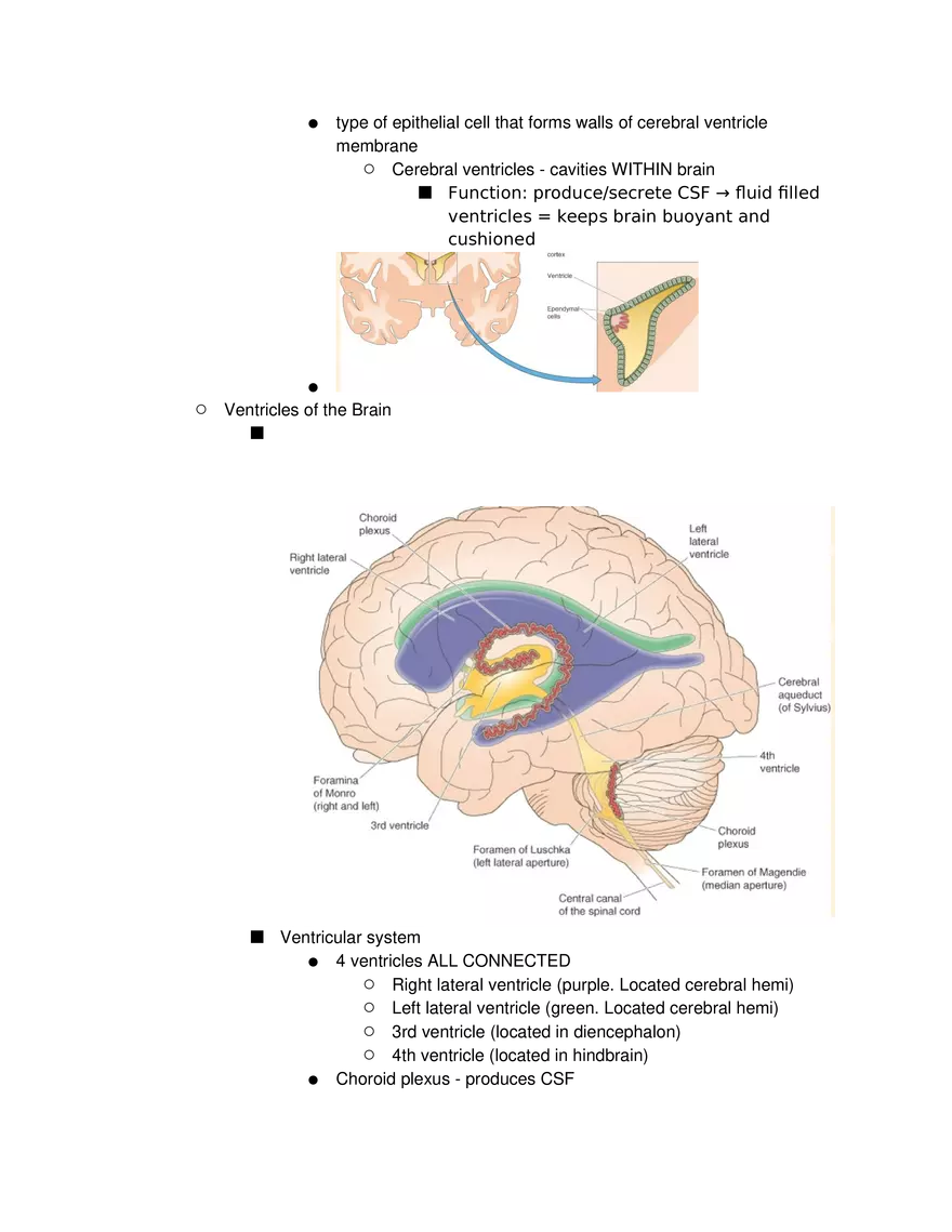Introduction to Pathophysiology and Cellular Basis of Disease Part 3 - Page 4