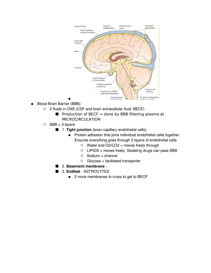 Introduction to Pathophysiology and Cellular Basis of Disease Part 3 - Page 6