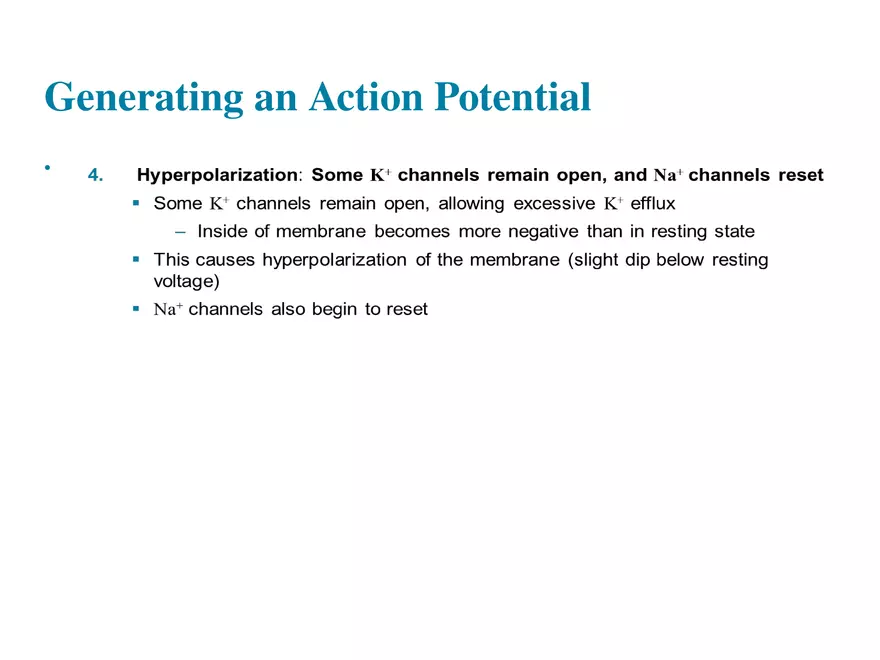 Fundamentals of the Nervous System and Nervous Tissue Lectrure 7 - Page 7