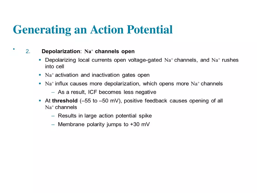 Fundamentals of the Nervous System and Nervous Tissue Lectrure 7 - Page 3