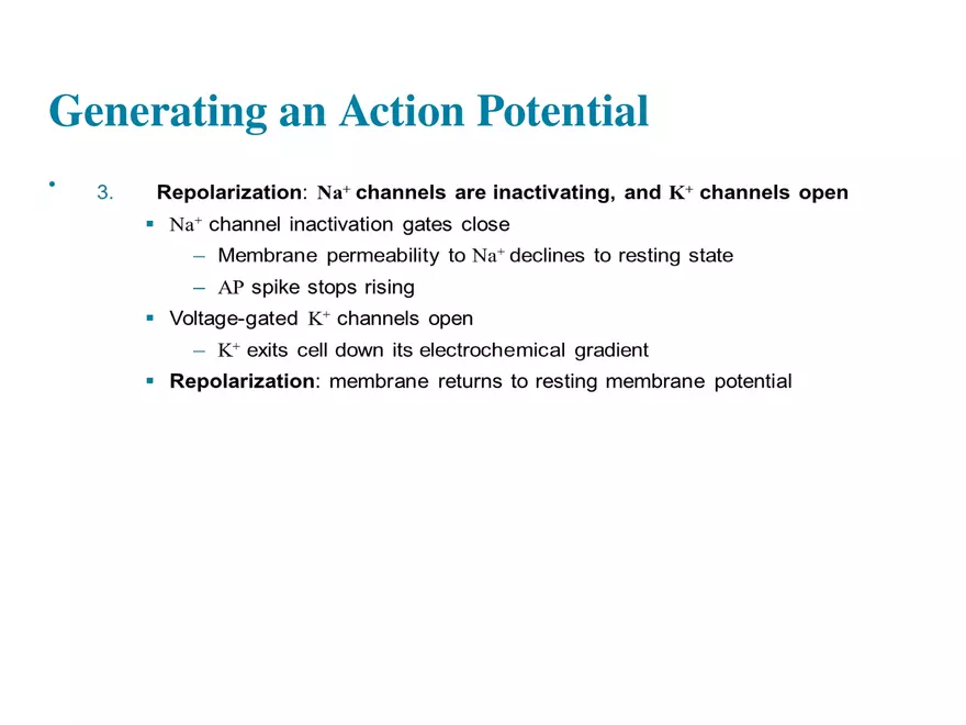 Fundamentals of the Nervous System and Nervous Tissue Lectrure 7 - Page 5