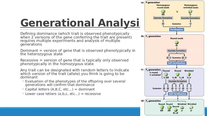 Summary of Aneuploidies Part 4 - Page 7