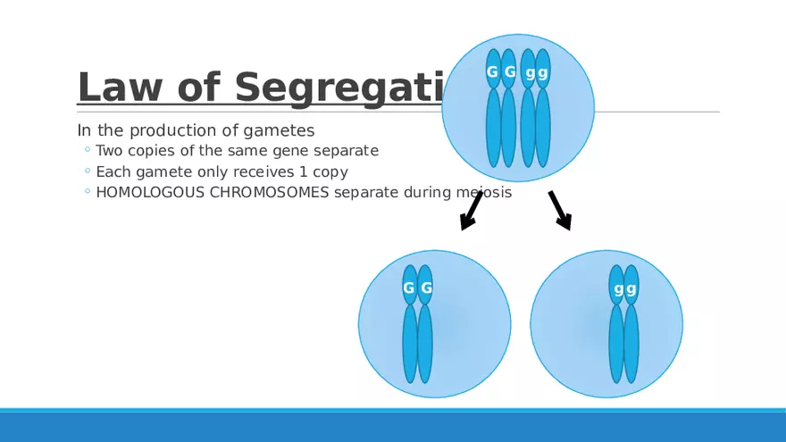 Summary of Aneuploidies Part 4 - Page 9