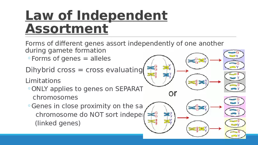 Summary of Aneuploidies Part 4 - Page 10