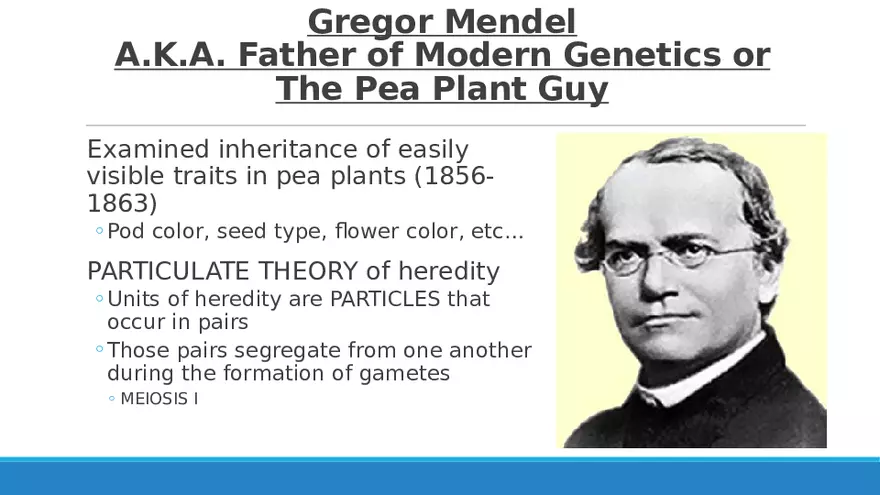 Summary of Aneuploidies Part 4 - Page 5