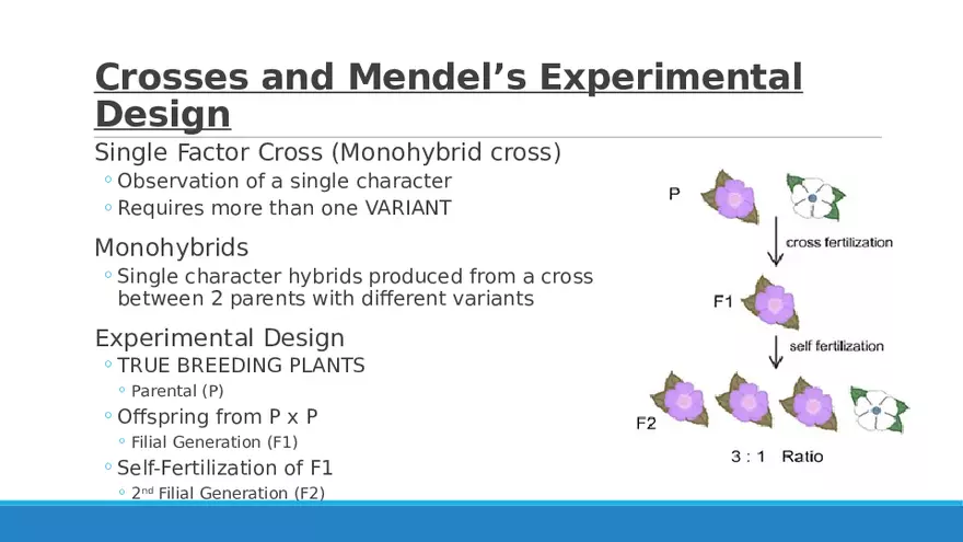 Summary of Aneuploidies Part 4 - Page 6
