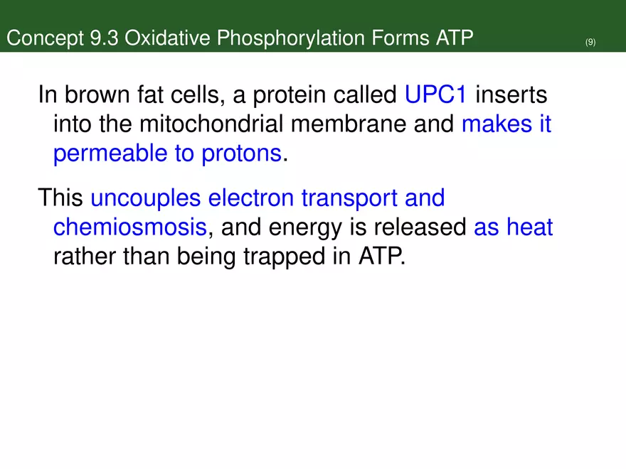 Pathways That Harvest Chemical Energy Lecture Part 5 - Page 9