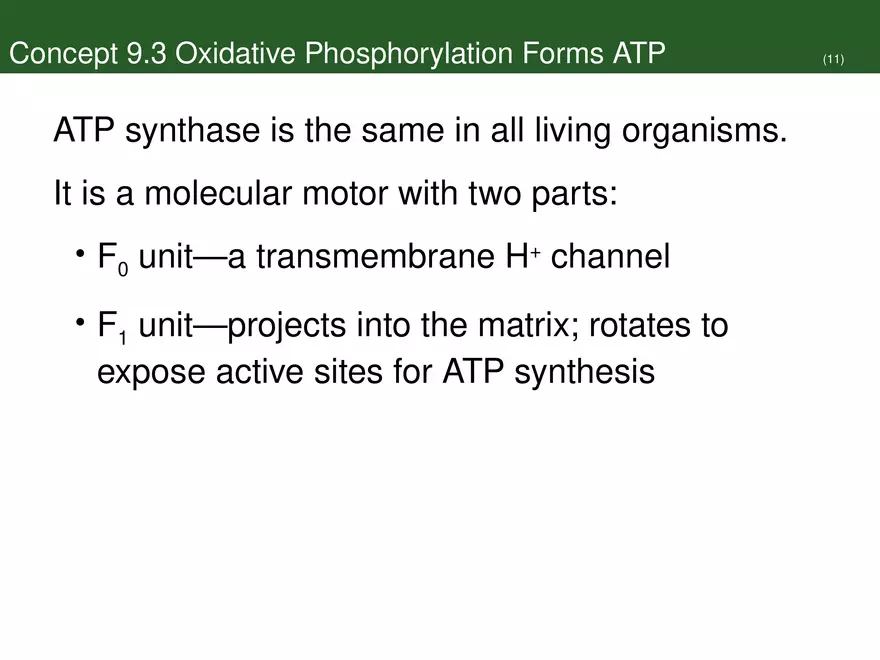 Pathways That Harvest Chemical Energy Lecture Part 5 - Page 10