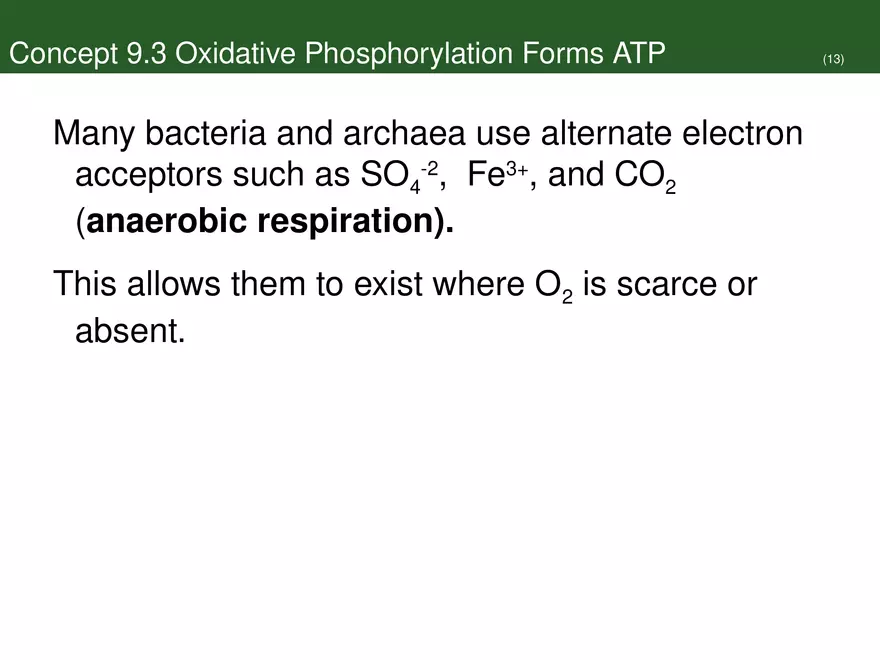 Pathways That Harvest Chemical Energy Lecture Part 5 - Page 13