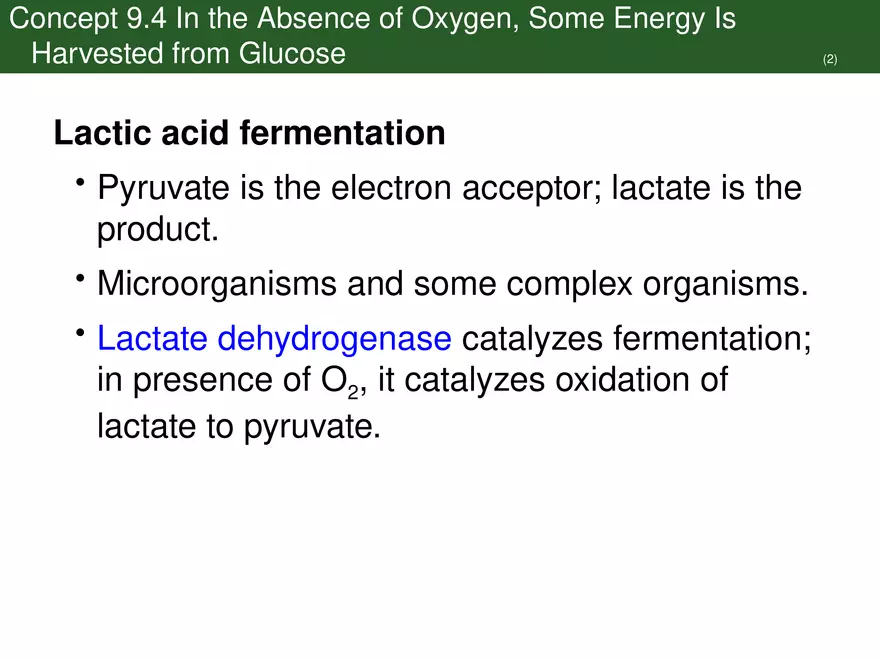 Pathways That Harvest Chemical Energy Lecture Part 5 - Page 15
