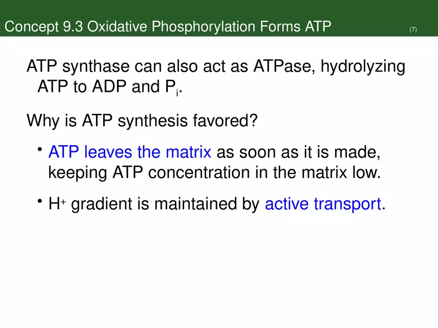 Pathways That Harvest Chemical Energy Lecture Part 5 - Page 2