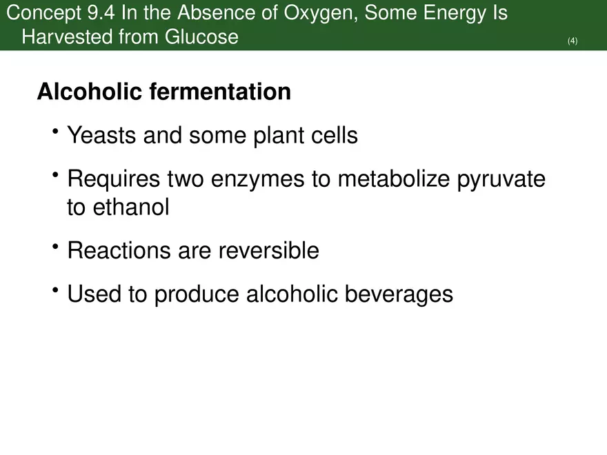 Pathways That Harvest Chemical Energy Lecture Part 5 - Page 5