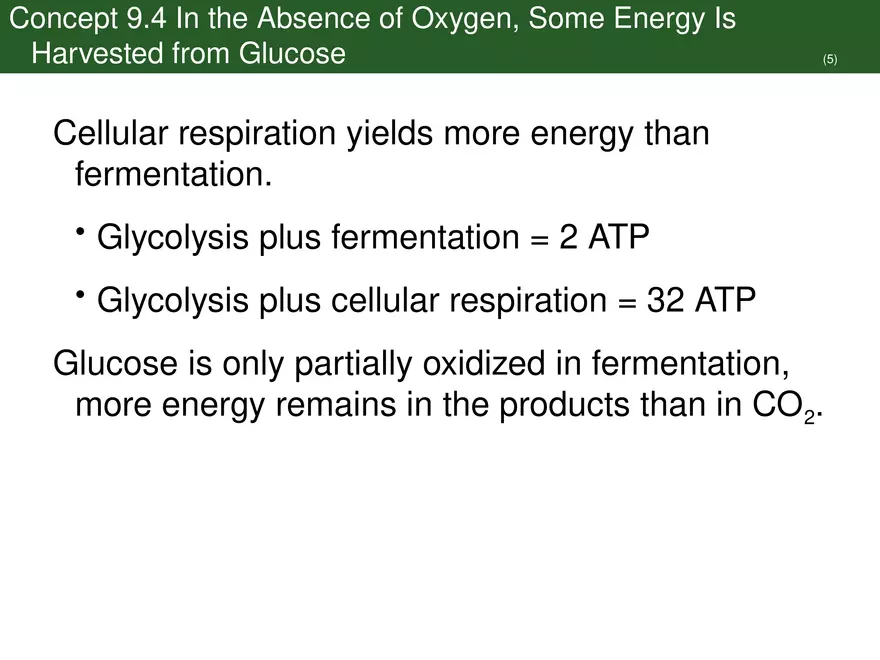 Pathways That Harvest Chemical Energy Lecture Part 5 - Page 6