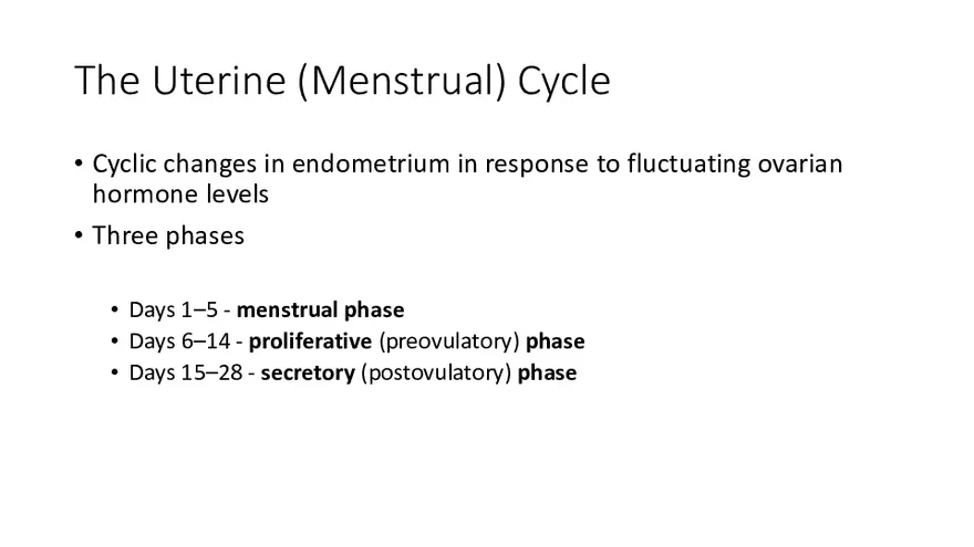 The Uterine (Menstrual) Cycle - Page 1