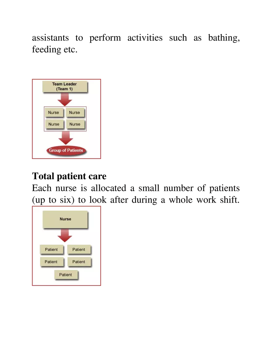 Professionalism in Nursing Study Guide Part 2 - Page 5