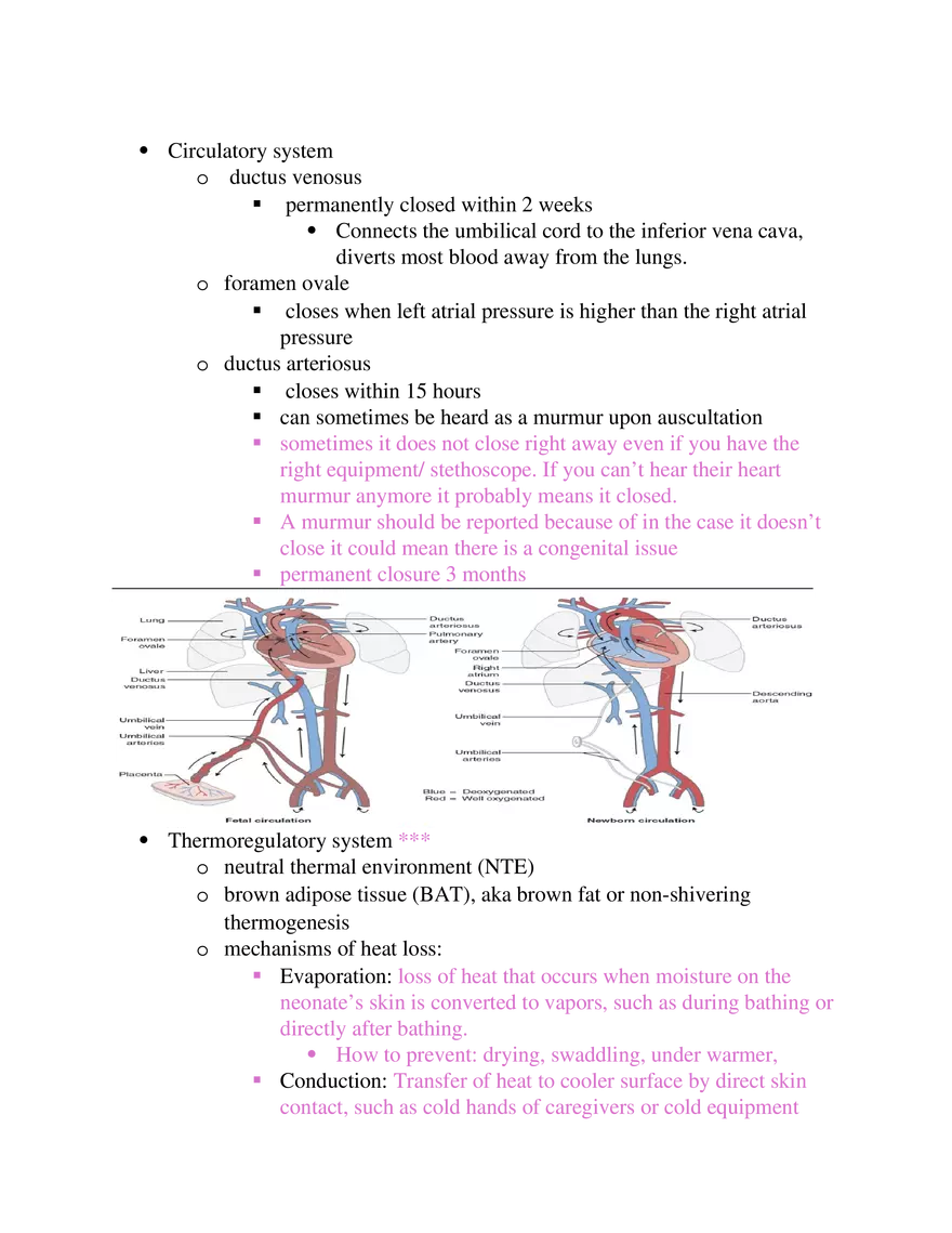 Postpartum Assessment and Immunization Guidelines Part 2 - Page 12