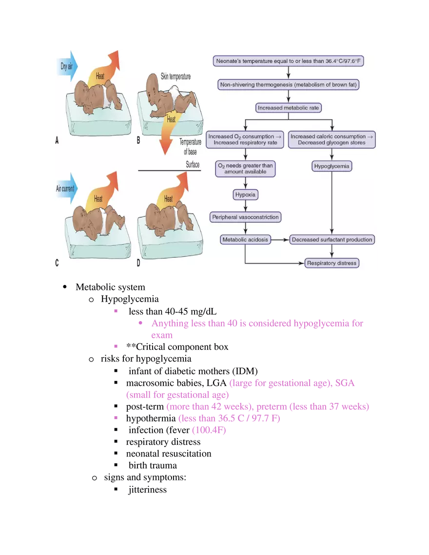 Postpartum Assessment and Immunization Guidelines Part 2 - Page 14