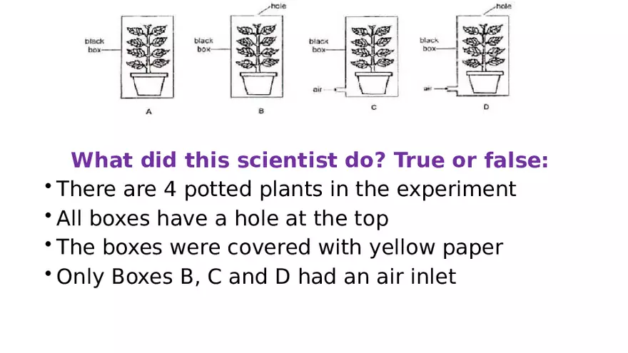 The Scientific Method for Grade 7 - Page 7