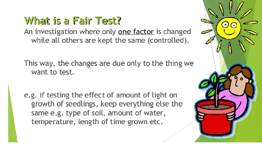 The Scientific Method for Grade 7 - Page 3