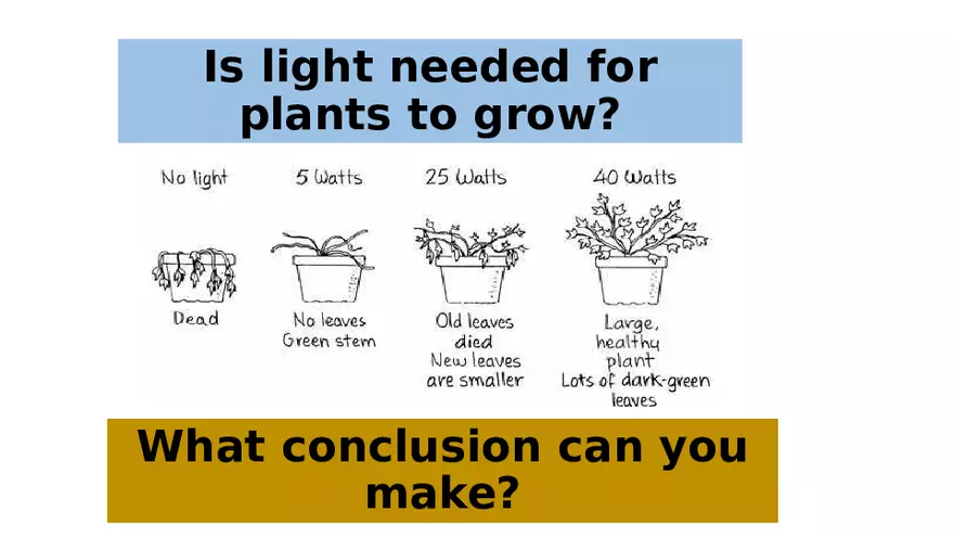 The Scientific Method for Grade 7 - Page 4