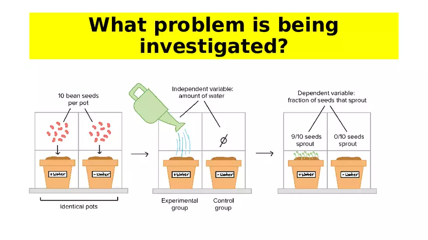 The Scientific Method for Grade 7 - Page 5