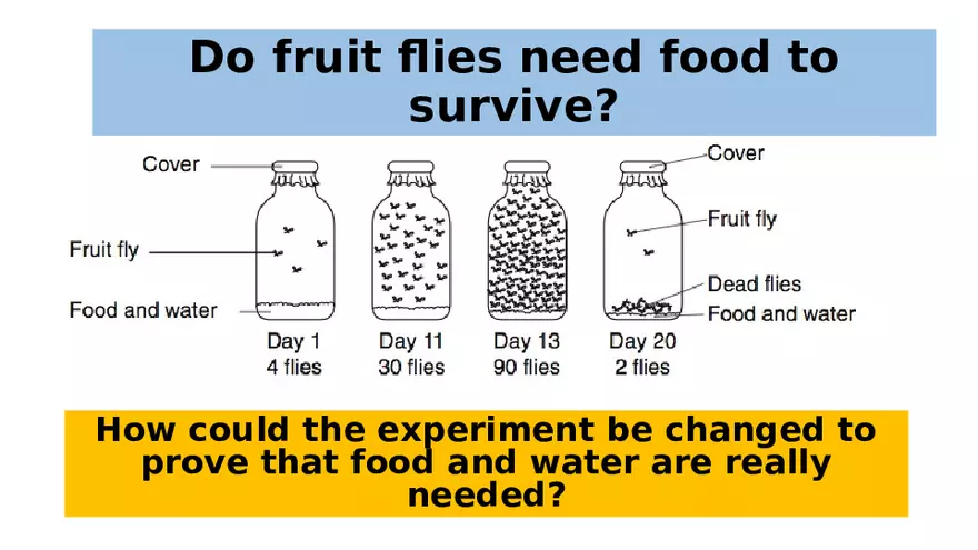 The Scientific Method for Grade 7 - Page 6