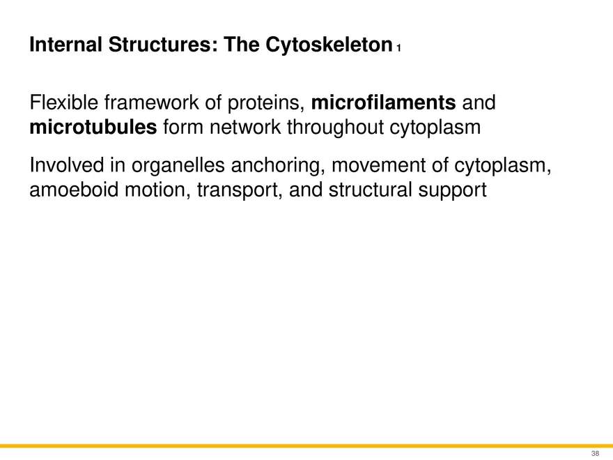 A Survey of Eukaryotic Cells and Microorganisms Part 4 - Page 7