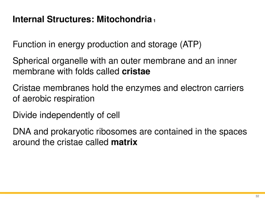 A Survey of Eukaryotic Cells and Microorganisms Part 4 - Page 1