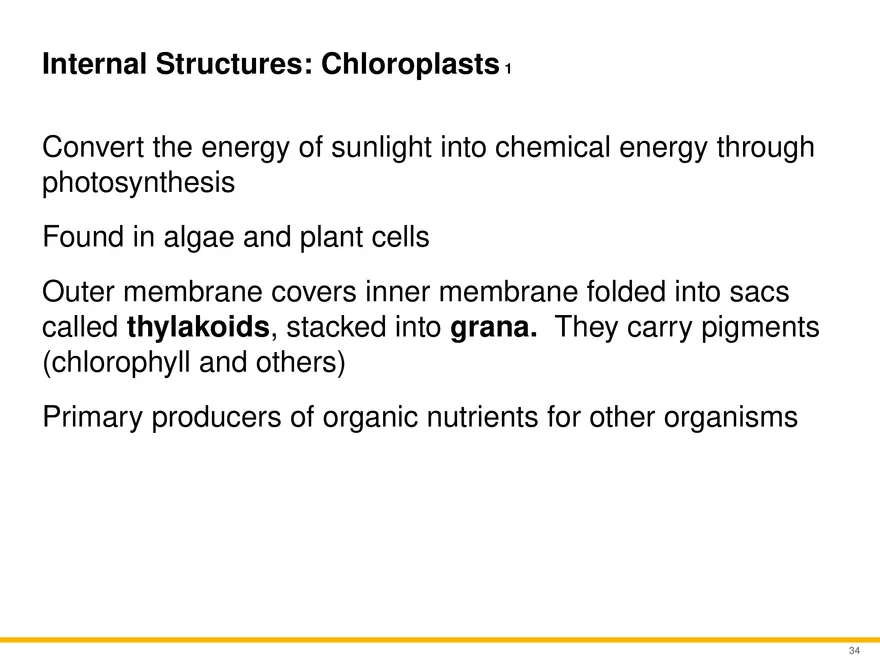 A Survey of Eukaryotic Cells and Microorganisms Part 4 - Page 3