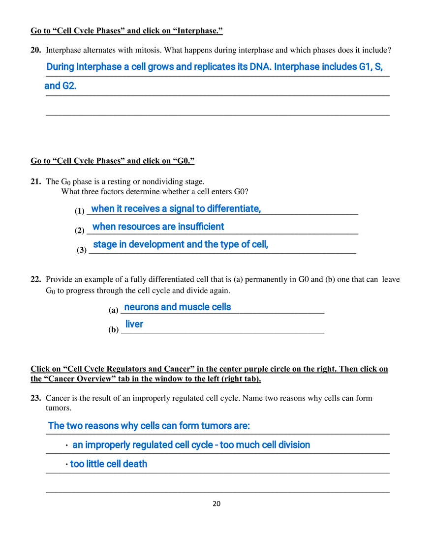 Part III - The Eukaryotic Cell Cycle and Cancer - Page 7
