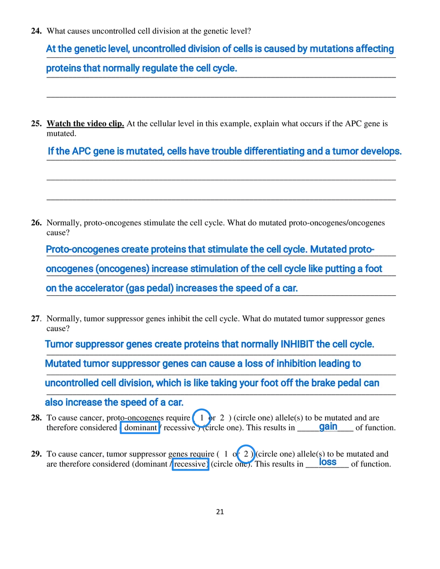 Part III - The Eukaryotic Cell Cycle and Cancer - Page 8