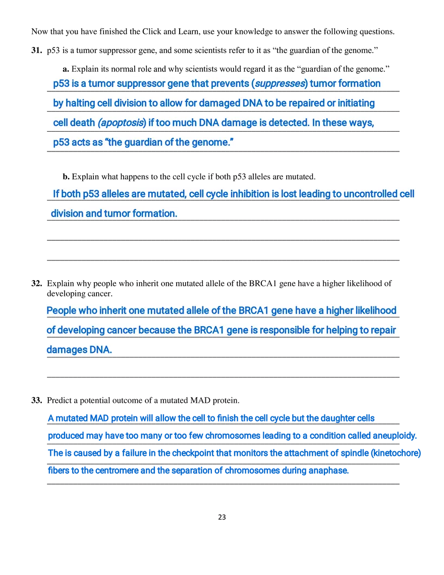 Part III - The Eukaryotic Cell Cycle and Cancer - Page 10
