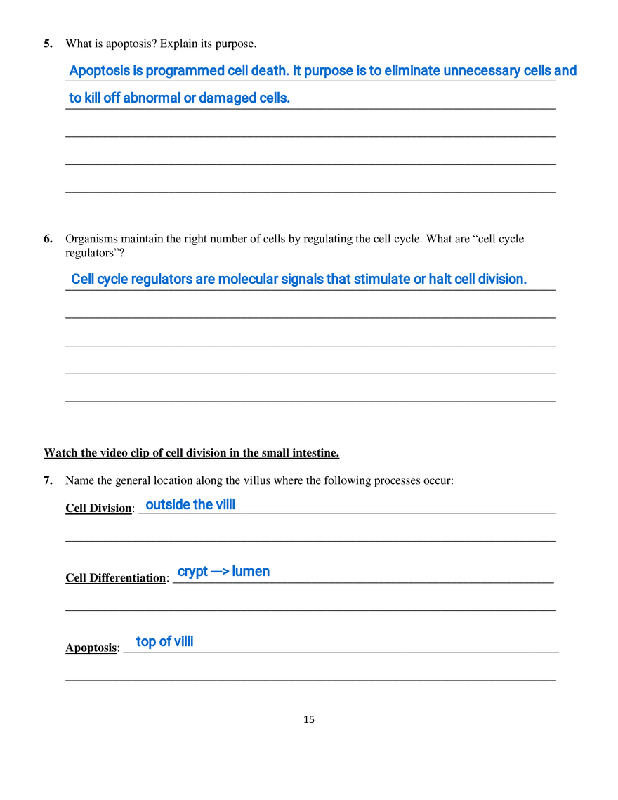 Part III - The Eukaryotic Cell Cycle and Cancer - Page 2