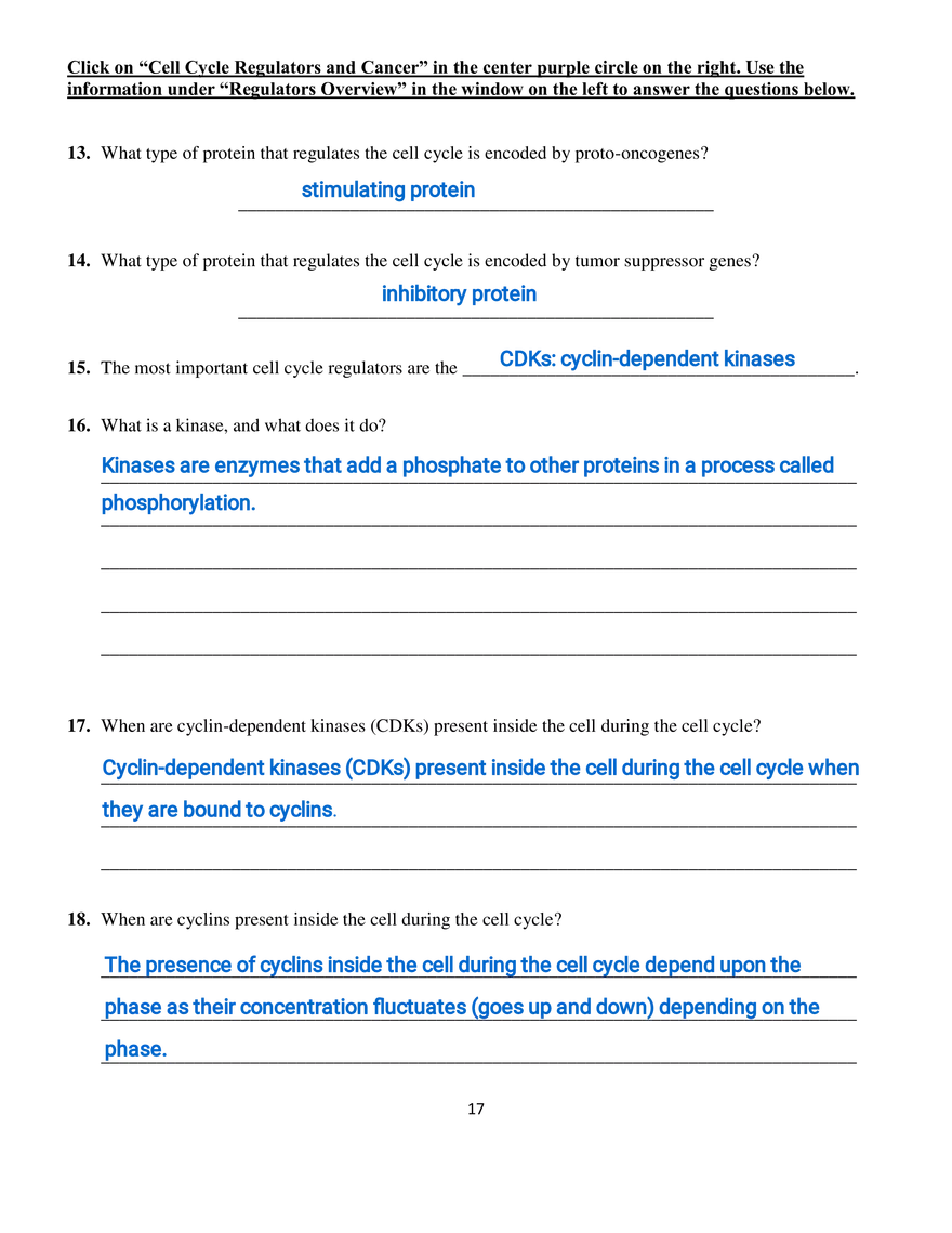 Part III - The Eukaryotic Cell Cycle and Cancer - Page 4