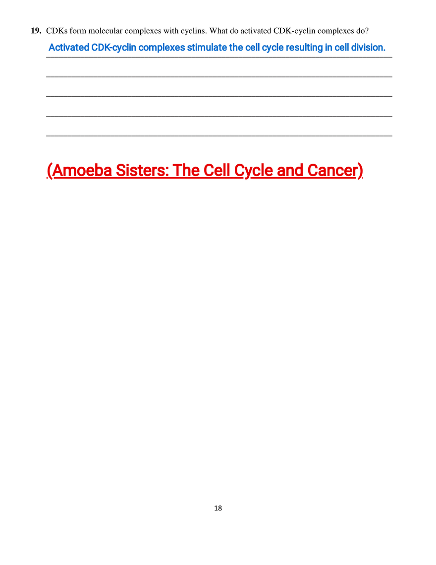 Part III - The Eukaryotic Cell Cycle and Cancer - Page 5
